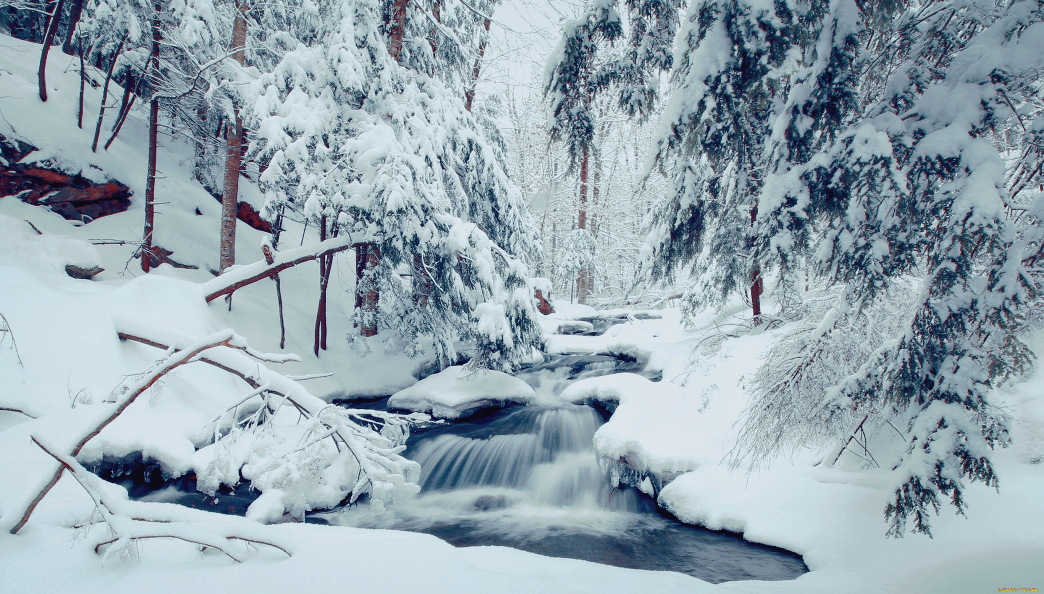 Звуки природы зимой. Зимний ручей. Зимний лес. Зимняя природа. Зимний ручей в лесу.